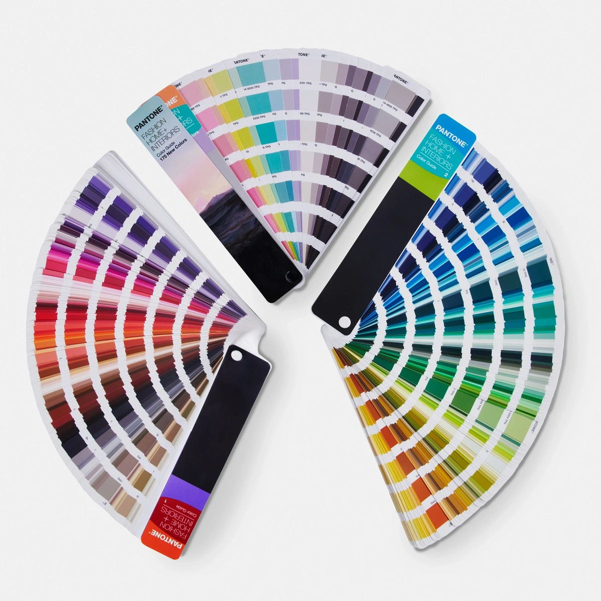 pantone-fhi-color-guide-fhip110c-3.png